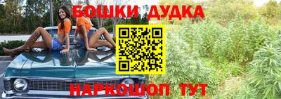 индика Чебаркуль