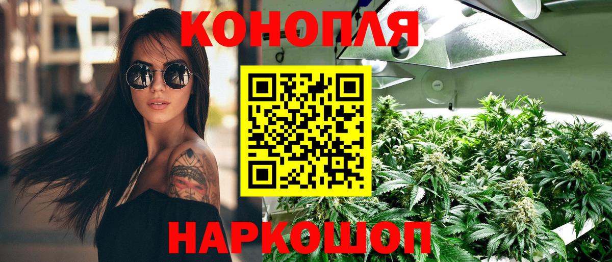 Марихуана индика  Бошки Шишки планчик  Железногорск  Бошки Шишки конопля  Вход с VPN 